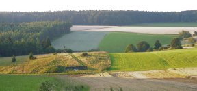 ochsenfeld-umgebung